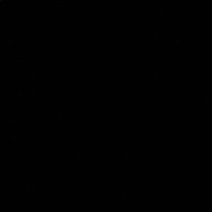 Meet your Posher, Lindsay